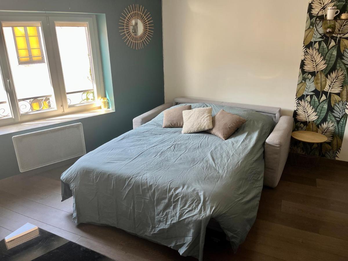 Charmant Logement Villefranche * Villefranche-sur-Saone